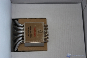 Raijintek Pallas_22